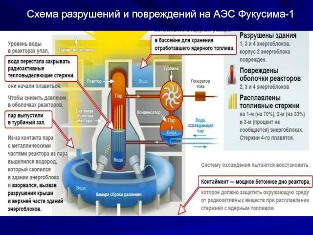 Схема разрушений и повреждений на АЭС Фукусима-1