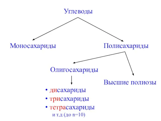 Углеводы Моносахариды Полисахариды Олигосахариды Высшие полиозы дисахариды трисахариды тетрасахариды и т.д (до n=10)