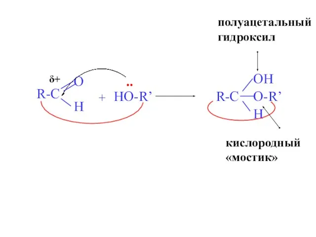 + HO-R’ R-C OH H O- .. полуацетальный гидроксил R’ кислородный «мостик» δ+