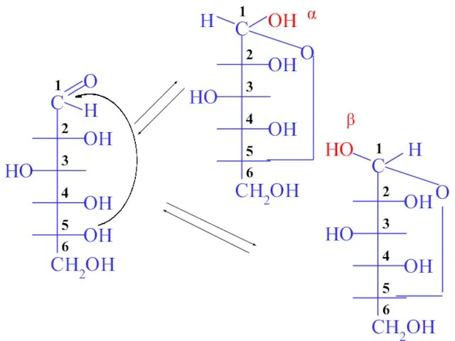 O OH O HO α β