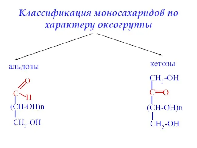 Классификация моносахаридов по характеру оксогруппы альдозы кетозы