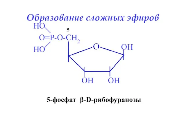 5-фосфат β-D-рибофуранозы 5 Образование сложных эфиров