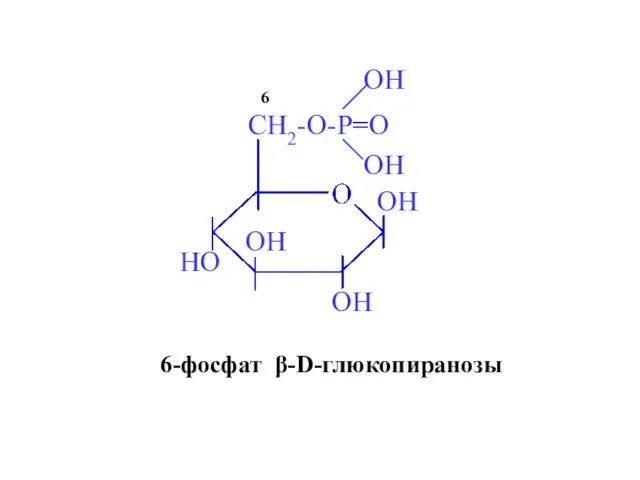 6 6-фосфат β-D-глюкопиранозы