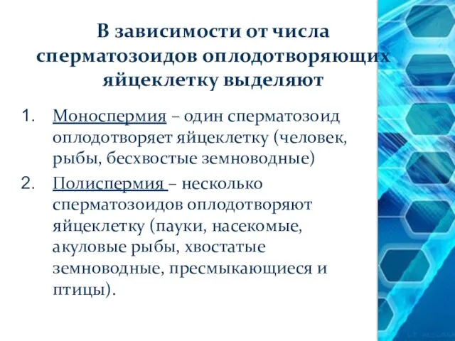 В зависимости от числа сперматозоидов оплодотворяющих яйцеклетку выделяют Моноспермия – один