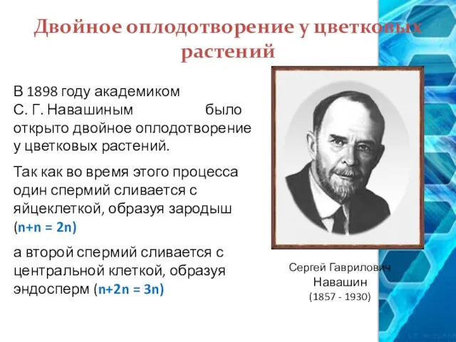 Двойное оплодотворение у цветковых растений В 1898 году академиком С. Г.