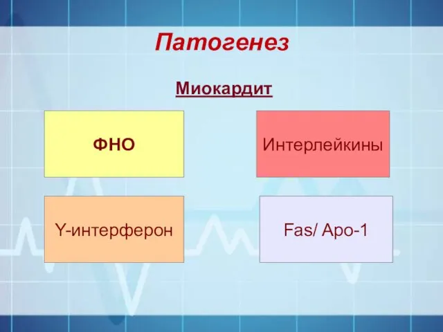 Патогенез Миокардит ФНО Y-интерферон Интерлейкины Fas/ Apo-1