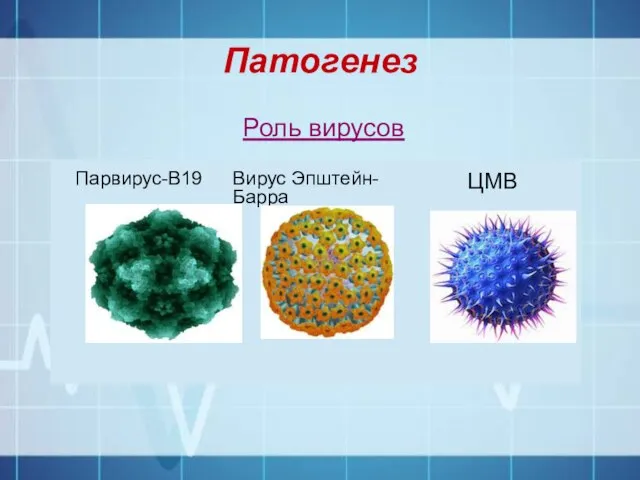 Патогенез Роль вирусов