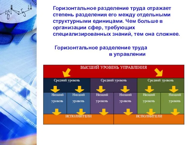 Горизонтальное разделение труда отражает степень разделения его между отдельными структурными единицами.