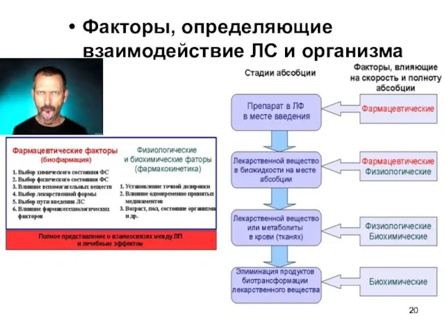 Факторы, определяющие взаимодействие ЛС и организма