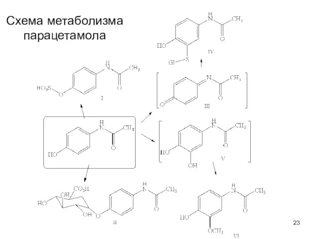 Схема метаболизма парацетамола