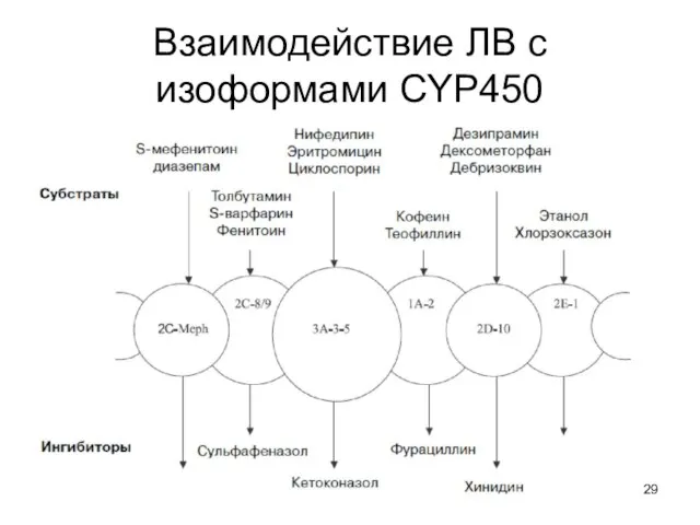 Взаимодействие ЛВ с изоформами CYP450