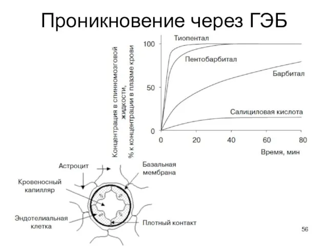 Проникновение через ГЭБ