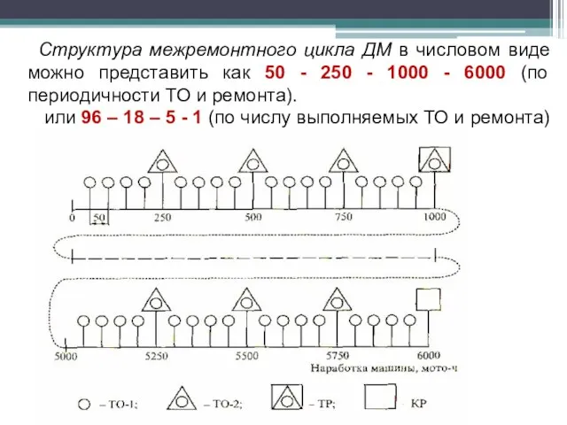 Структура межремонтного цикла ДМ в числовом виде можно представить как 50