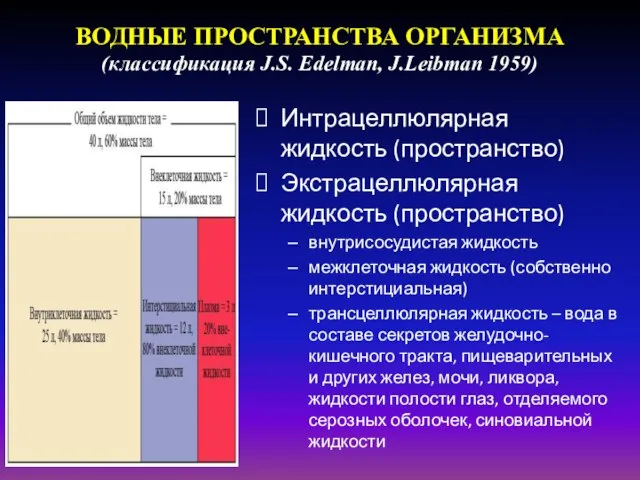 ВОДНЫЕ ПРОСТРАНСТВА ОРГАНИЗМА (классификация J.S. Edelman, J.Leibman 1959) Интрацеллюлярная жидкость (пространство)