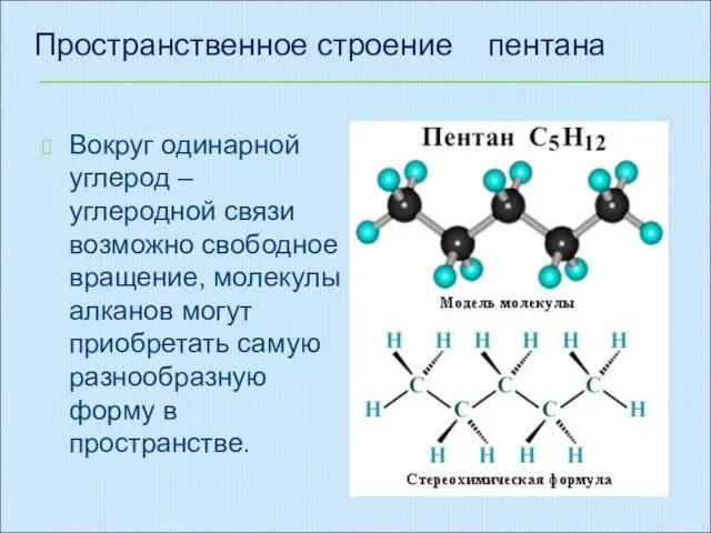 Вокруг одинарной углерод – углеродной связи возможно свободное вращение, молекулы алканов