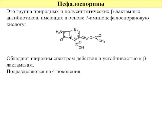 Цефалоспорины Это группа природных и полусинтетических β-лактамных антибиотиков, имеющих в основе