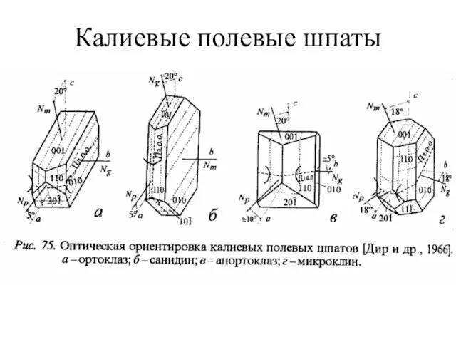 Калиевые полевые шпаты