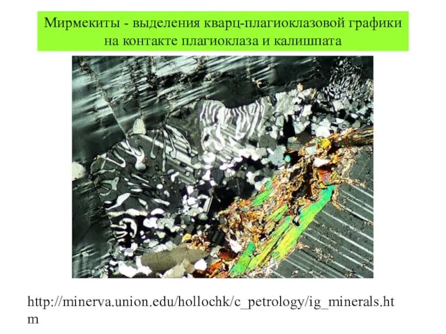 Мирмекиты - выделения кварц-плагиоклазовой графики на контакте плагиоклаза и калишпата http://minerva.union.edu/hollochk/c_petrology/ig_minerals.htm
