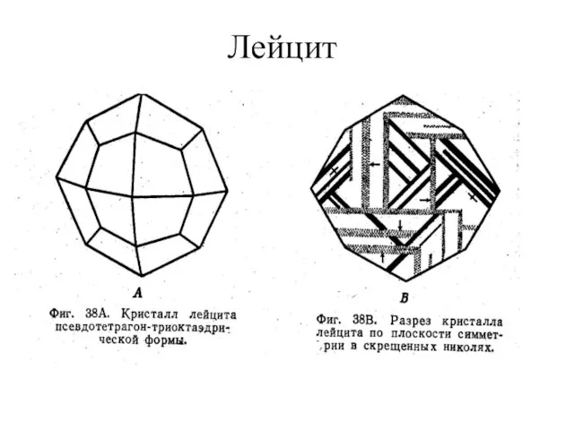 Лейцит