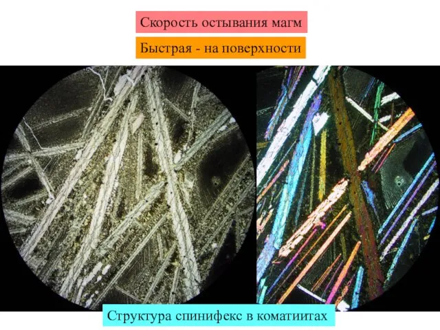 Скорость остывания магм Быстрая - на поверхности Структура спинифекс в коматиитах