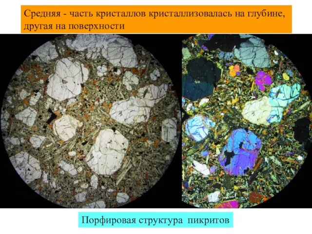 Средняя - часть кристаллов кристаллизовалась на глубине, другая на поверхности Порфировая структура пикритов