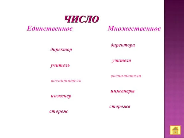 Единственное директор учитель воспитатель инженер сторож Множественное директора учителя воспитатели инженеры сторожа