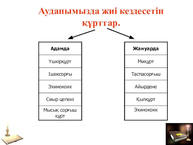 Ауданымызда жиі кездесетін құрттар.