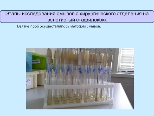 Взятие проб осуществлялось методом смывов. Этапы исследования смывов с хирургического отделения на золотистый стафилококк