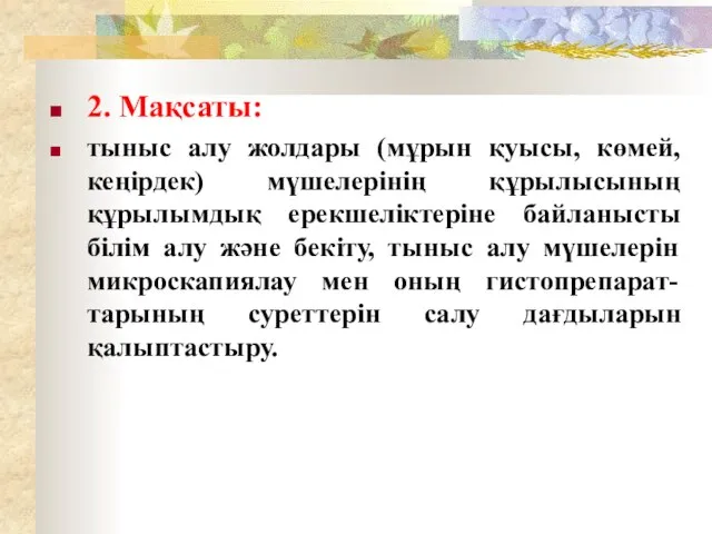 2. Мақсаты: тыныс алу жолдары (мұрын қуысы, көмей, кеңірдек) мүшелерінің құрылысының