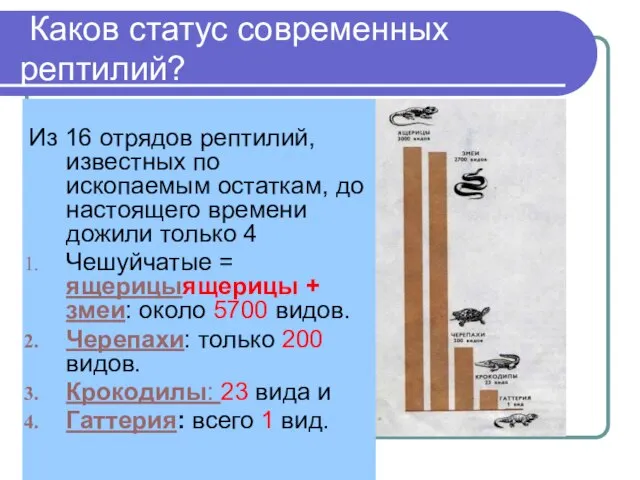 Каков статус современных рептилий? Из 16 отрядов рептилий, известных по ископаемым