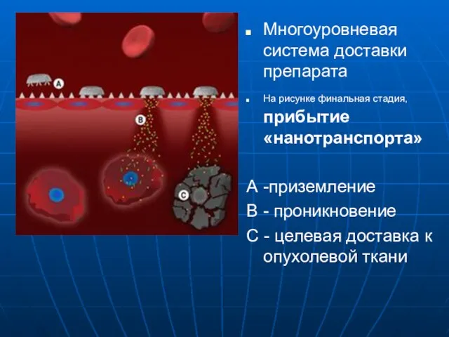 Многоуровневая система доставки препарата На рисунке финальная стадия, прибытие «нанотранспорта» А