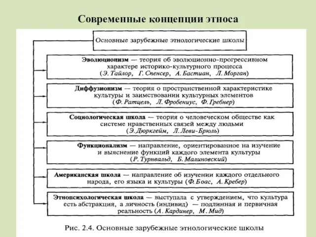 Современные концепции этноса