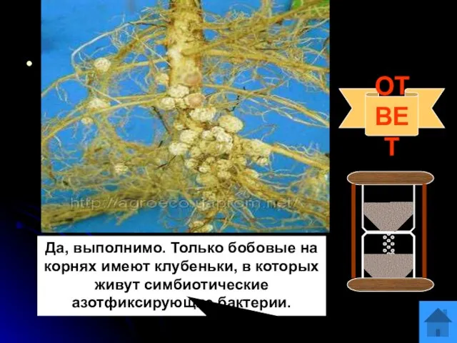 Вопрос 11 На суходольном лугу скосили все растения. Вам предложили выяснить,