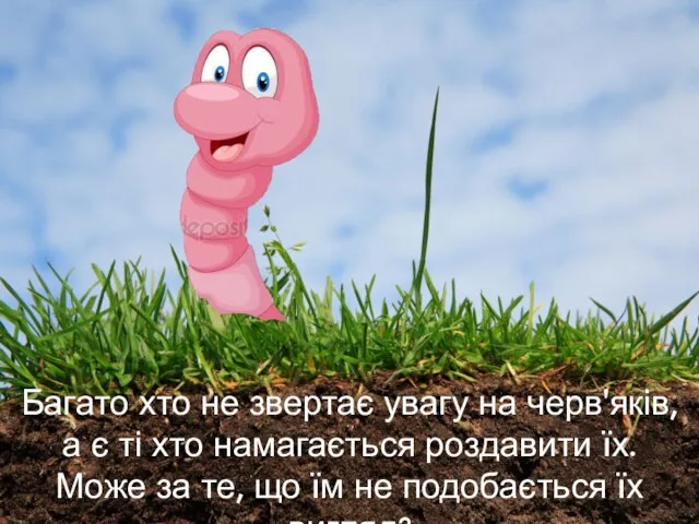 Багато хто не звертає увагу на черв'яків, а є ті хто