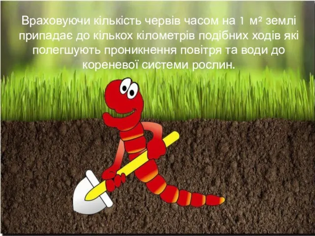 Враховуючи кількість червів часом на 1 м² землі припадає до кількох