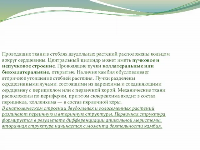 Проводящие ткани в стеблях двудольных растений расположены кольцом вокруг сердцевины. Центральный