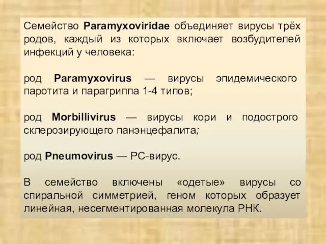 Семейство Paramyxoviridae объединяет вирусы трёх родов, каждый из которых включает возбудителей