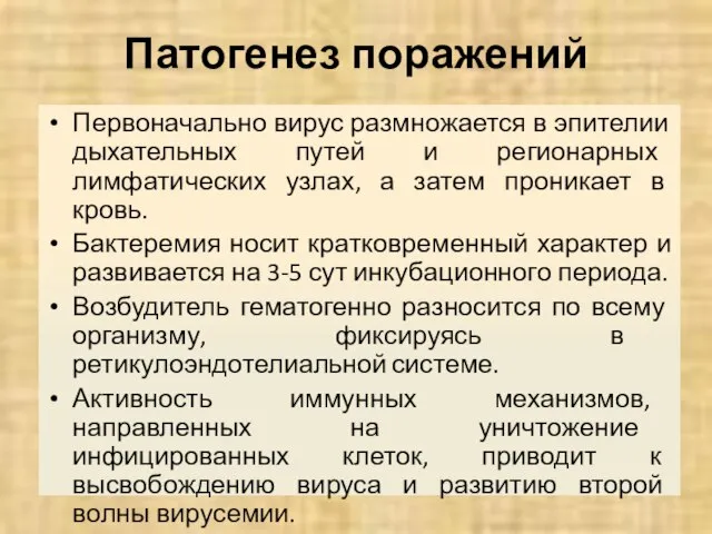 Патогенез поражений Первоначально вирус размножается в эпителии дыхательных путей и регионарных