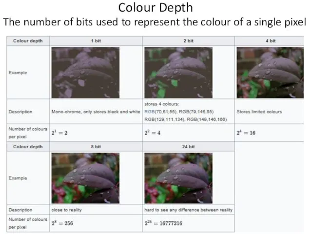 Colour Depth The number of bits used to represent the colour of a single pixel