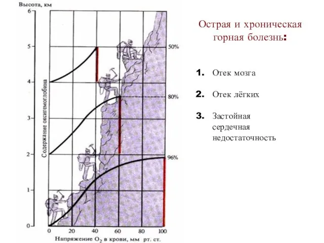 Острая и хроническая горная болезнь: Отек мозга Отек лёгких Застойная сердечная недостаточность