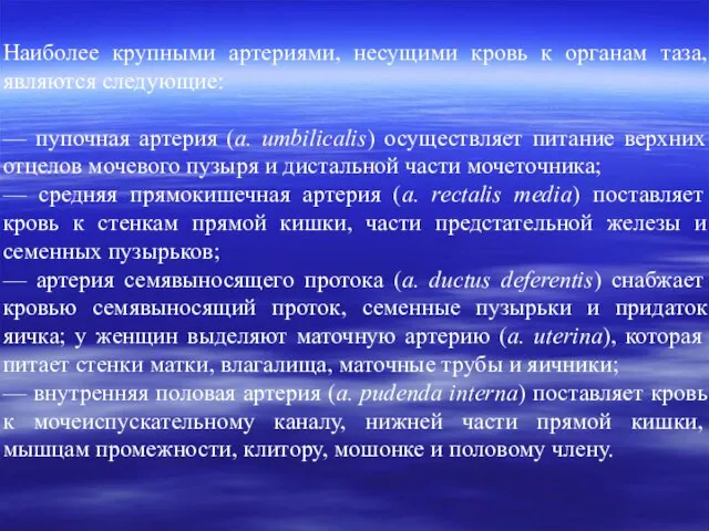 Наиболее крупными артериями, несущими кровь к органам таза, являются следующие: —