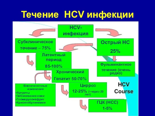 Течение HCV инфекции HCV- инфекция Субклиническое течение – 75% Острый HC