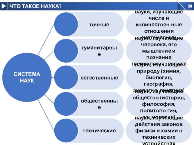 точные гуманитарные естественные общественные технические СИСТЕМА НАУК науки, изучающие числа и