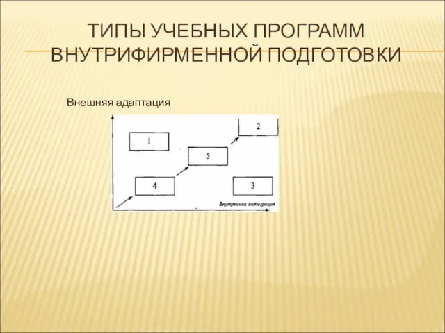 ТИПЫ УЧЕБНЫХ ПРОГРАММ ВНУТРИФИРМЕННОЙ ПОДГОТОВКИ Внешняя адаптация