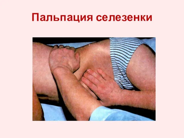 Пальпация селезенки