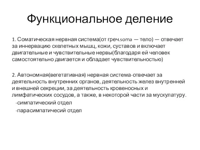 Функциональное деление 1. Соматическая нервная система(от греч.soma — тело) — отвечает