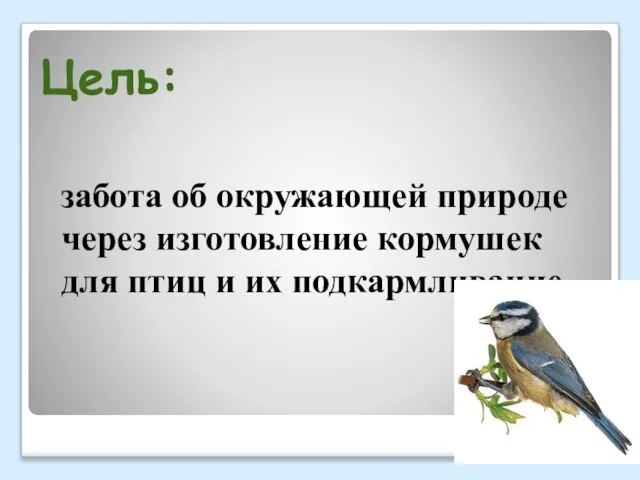 Цель: забота об окружающей природе через изготовление кормушек для птиц и их подкармливание