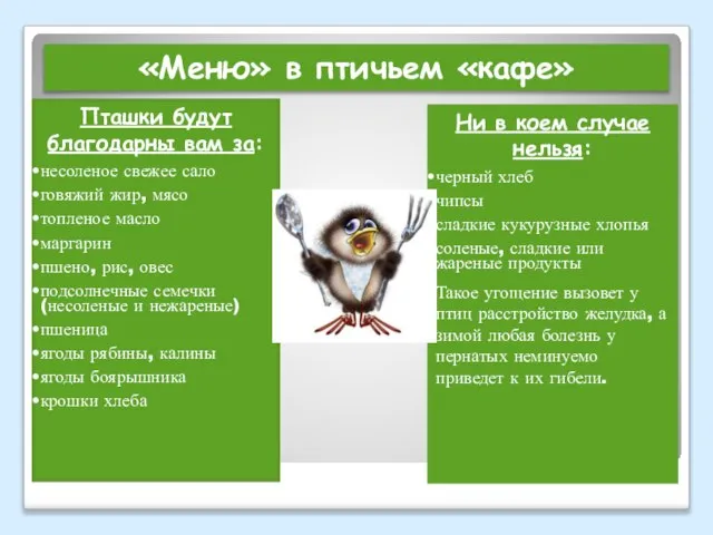 «Меню» в птичьем «кафе» Пташки будут благодарны вам за: несоленое свежее