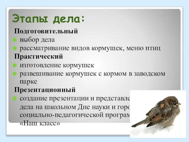 Этапы дела: Подготовительный выбор дела рассматривание видов кормушек, меню птиц Практический