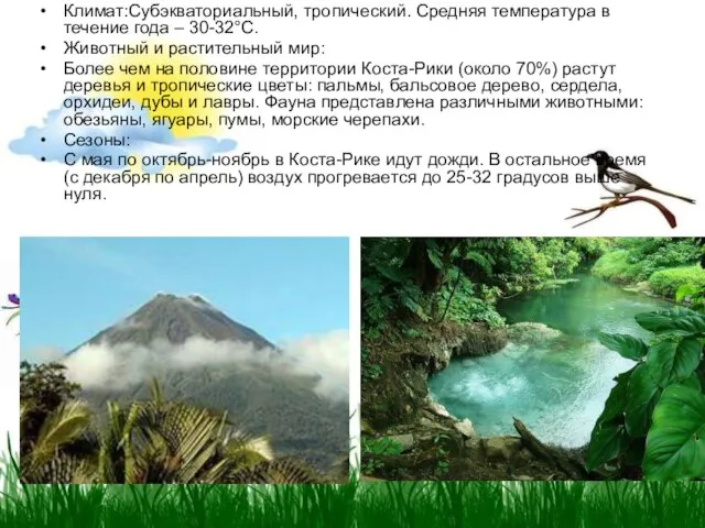 Климат:Субэкваториальный, тропический. Средняя температура в течение года – 30-32°С. Животный и